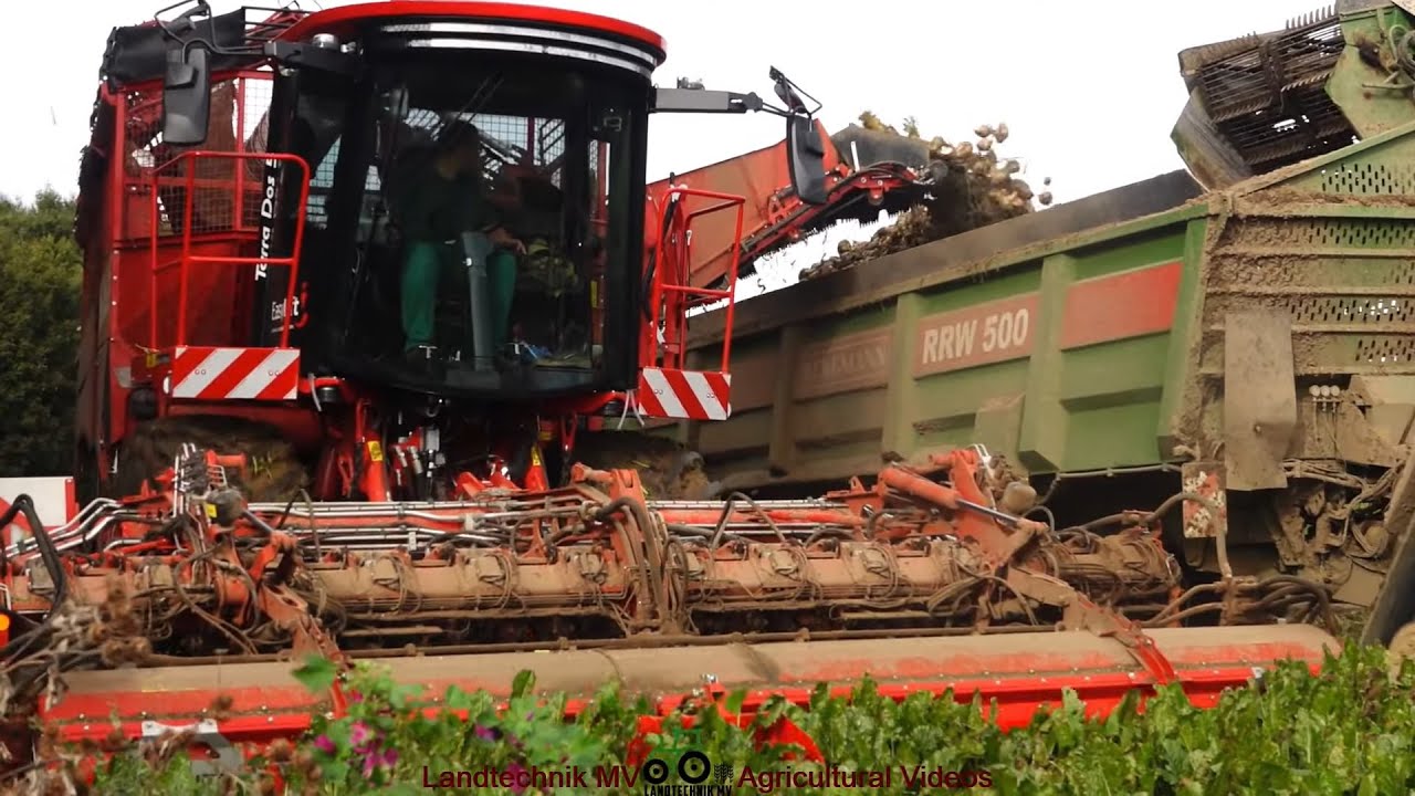 Holmer - John Deere - Bergmann / Zuckerrübenernte - Sugar Beet Harvest