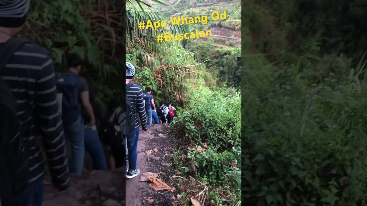 Apo Whang Ad 