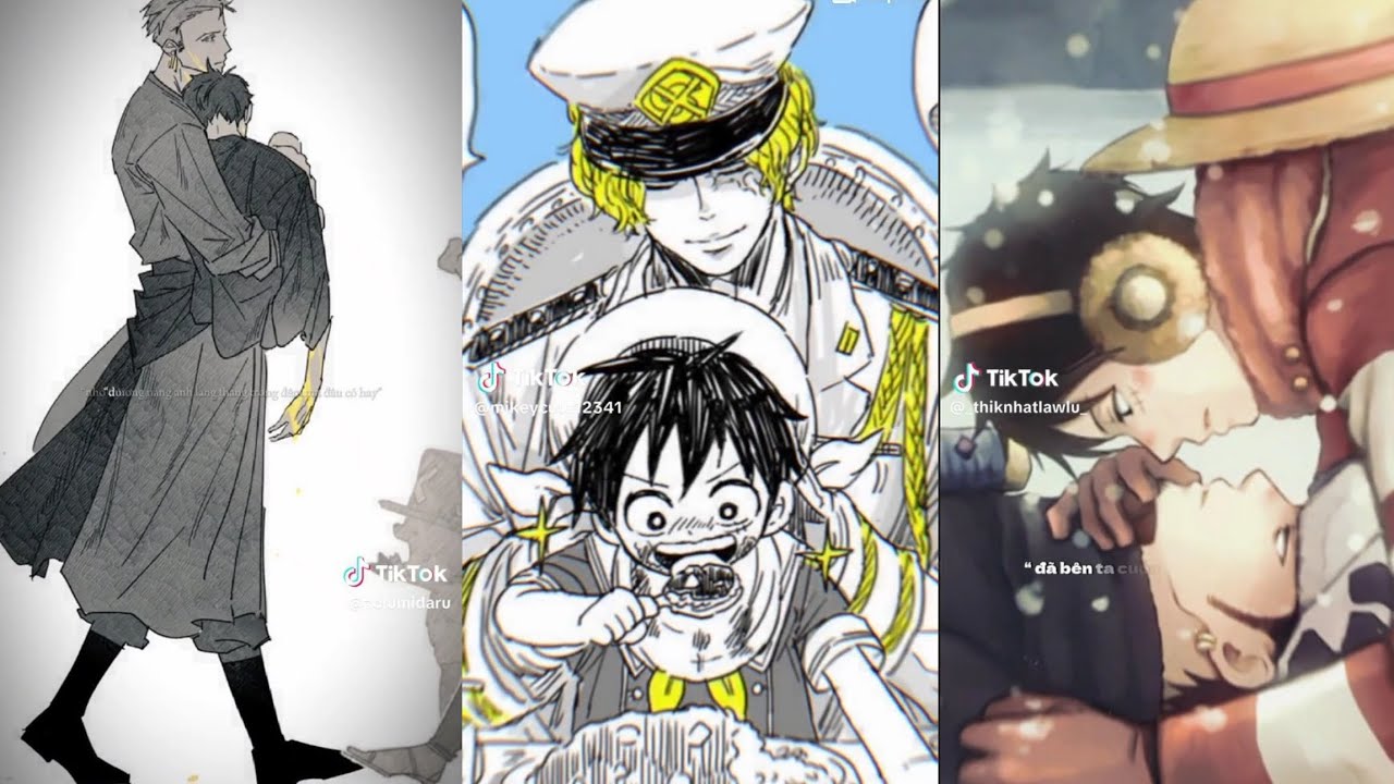 [ĐAM MỸ] tik tok One Piece OTP #46