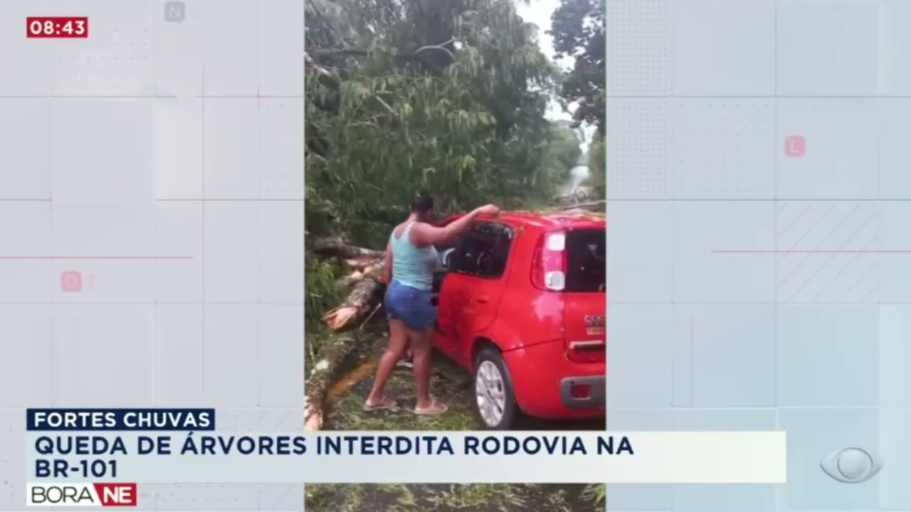 ALERTA VEMELHO NO EXTREMO SUL | BORA NORDESTE