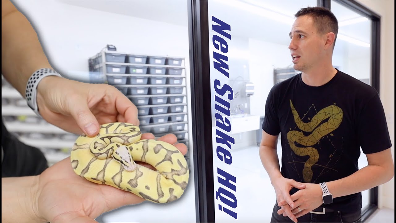 Crazy New Snake Facility! - 18 years of work doing what I love! Full Tour