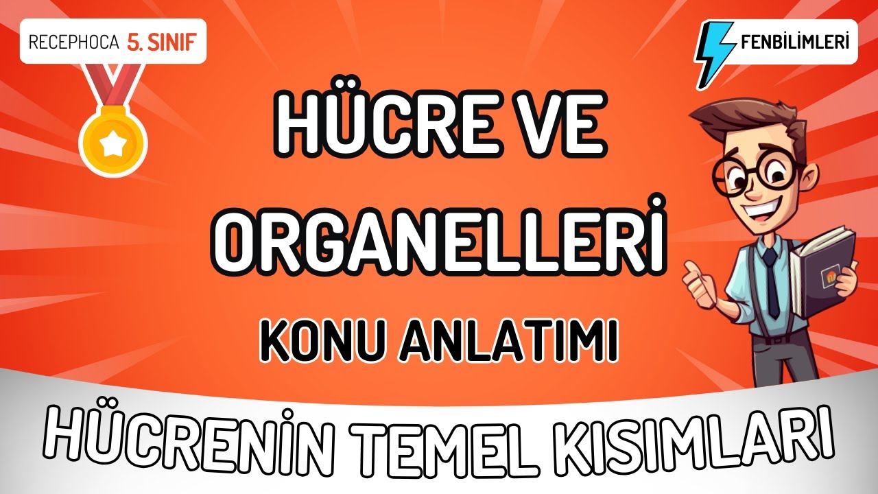 5. Sınıf Hücre ve Organelleri ✍ Hücrenin Temel Kısımları ✅