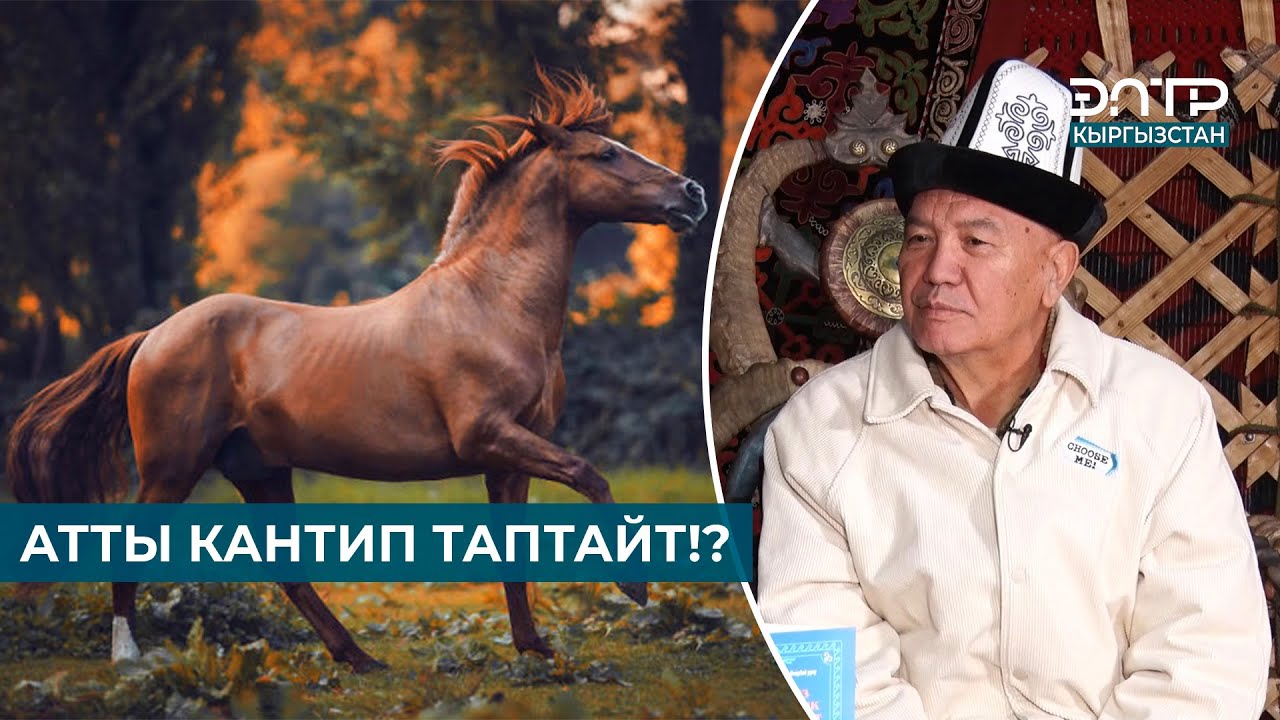 АТ ТАПТООНУН СЫРЛАРЫ | МУРАС САБАТЫ