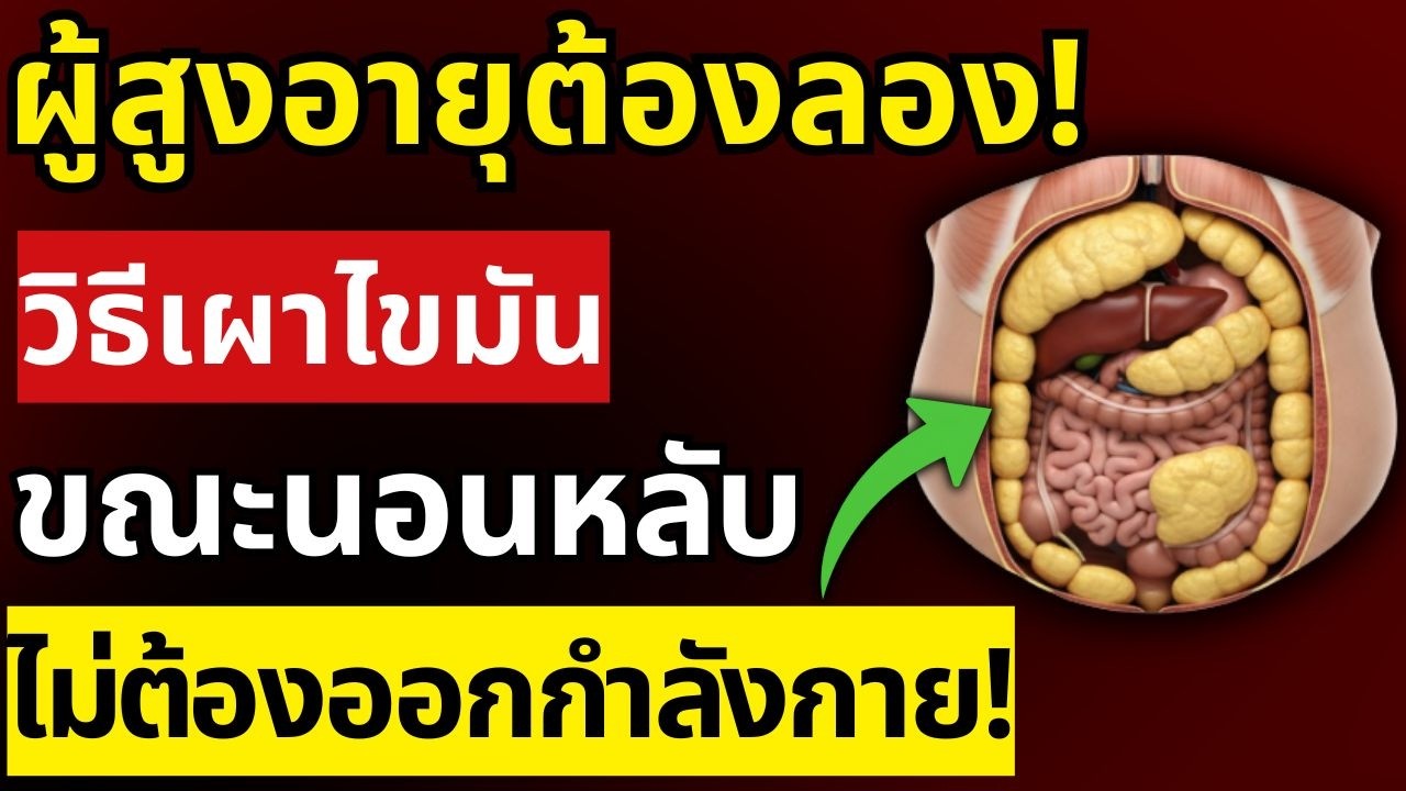 นักวิทยาศาสตร์พิสูจน์แล้ว! วิธีเผาไขมันพุงขณะหลับโดยไม่ต้องออกกำลังกาย | สุขภาพผู้สูงอายุ