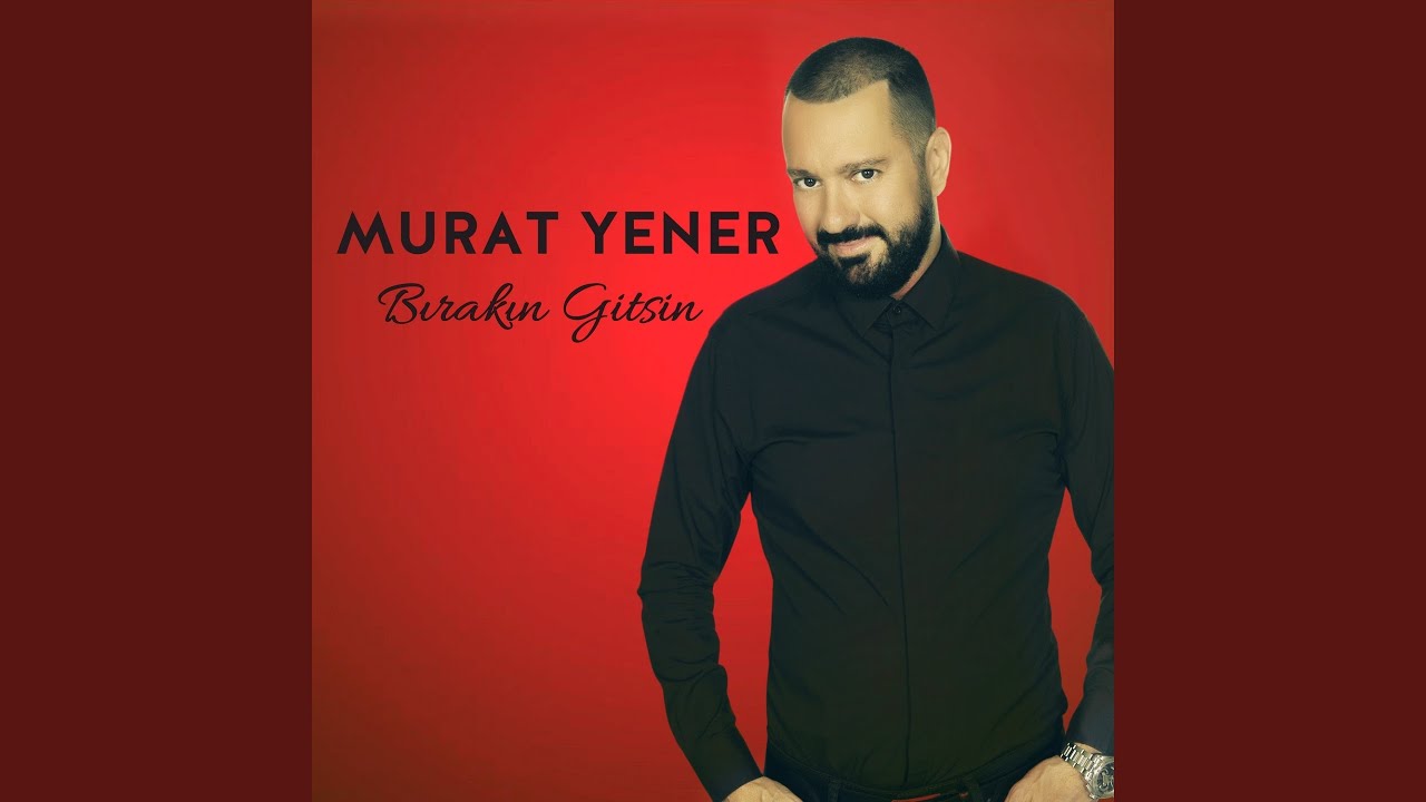 Bırakın Gitsin