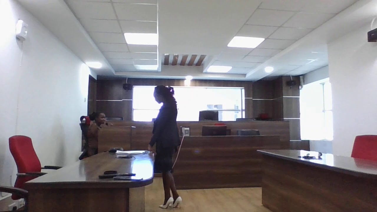 FAITH MUENI EXAMINATION IN CHIEF -PLAINTIFF WITNESS