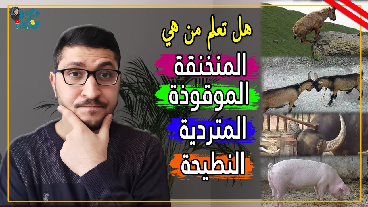 معنى الاية حرمت عليكم الميتة والدم ولحم الخنزير