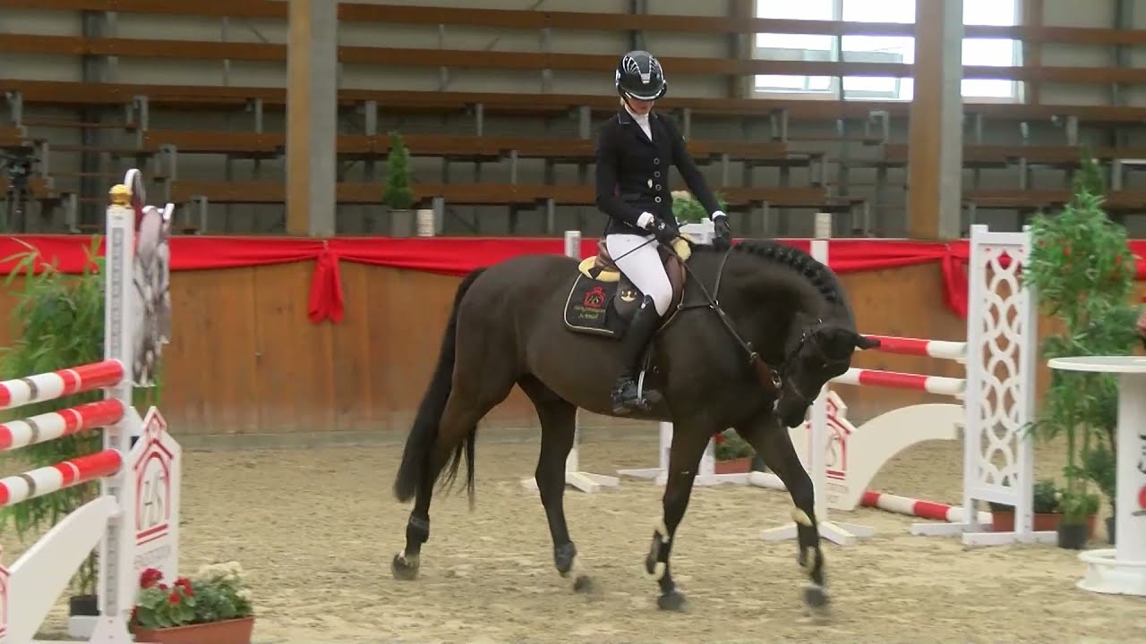 Benthens Balou