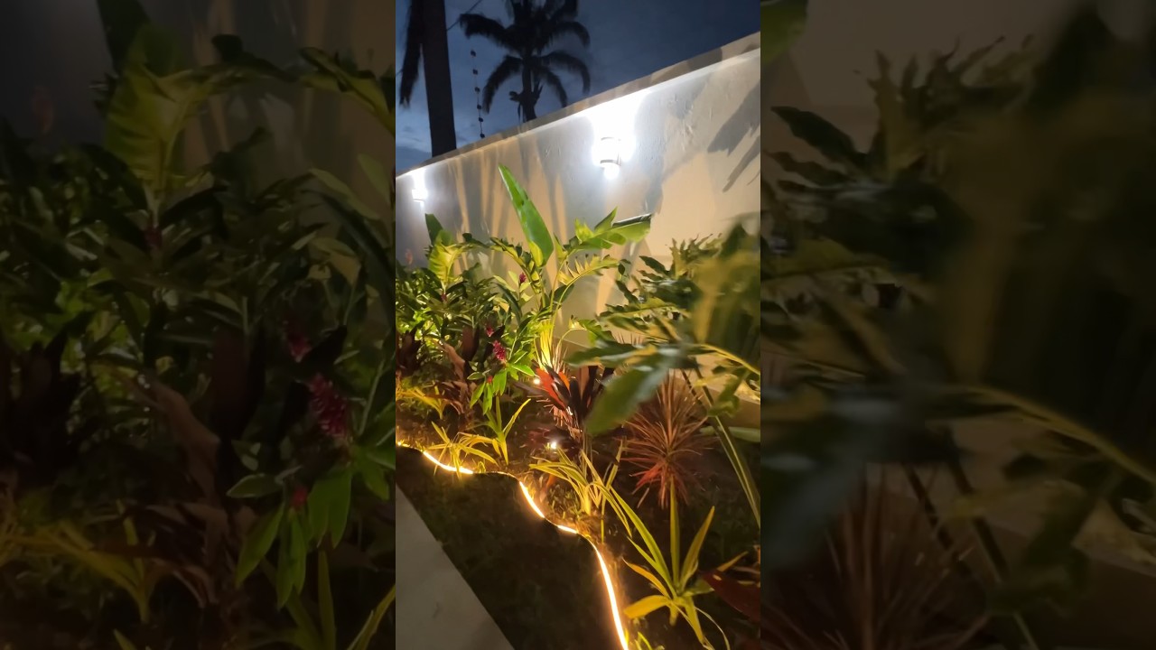 ‼️Ilumina los Jardines, el cambio es bruta😲😃