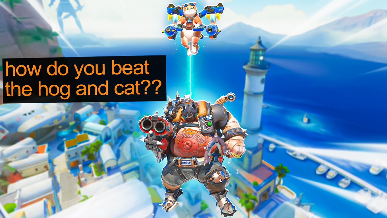 Jetpack Cat and Roadhog is the NEW META! | Overwatch