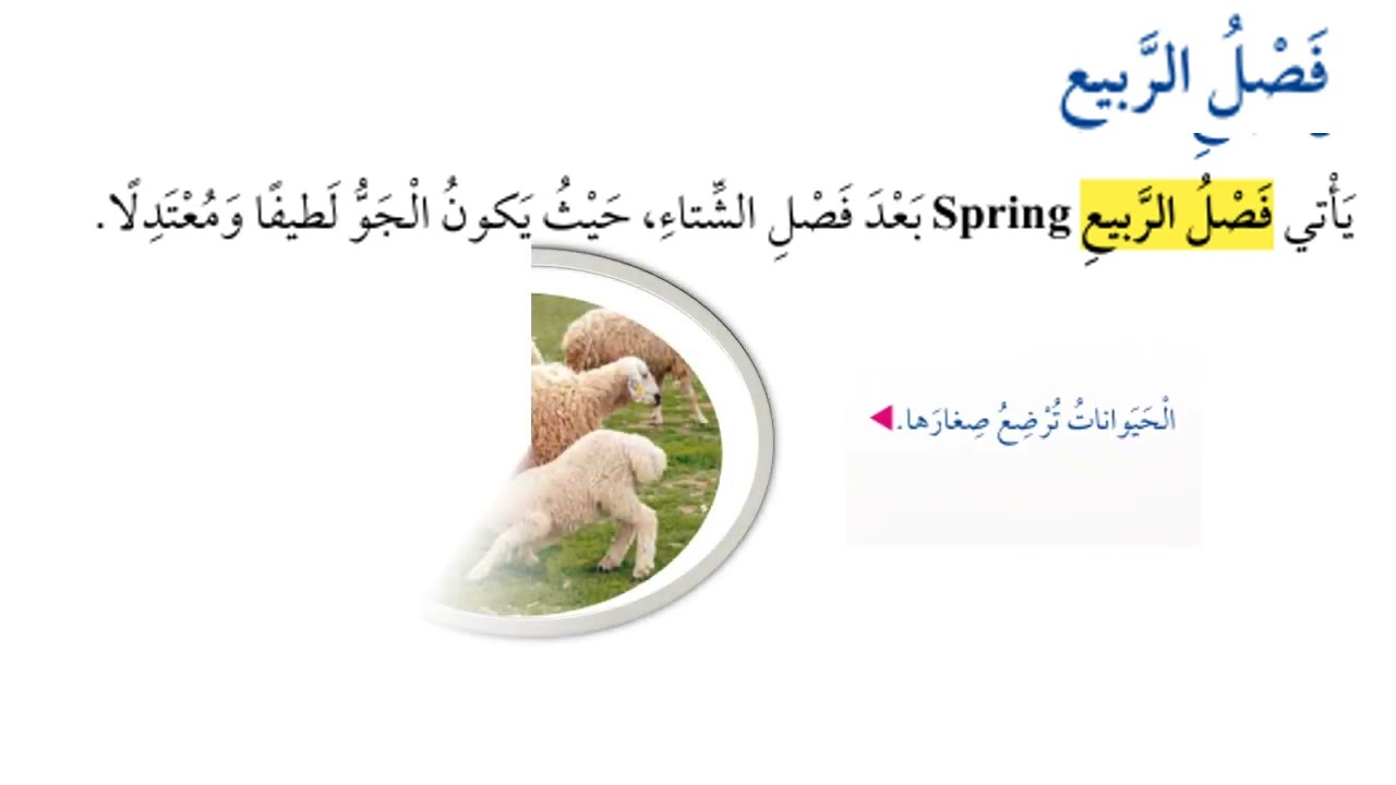 الفصول الاربعة