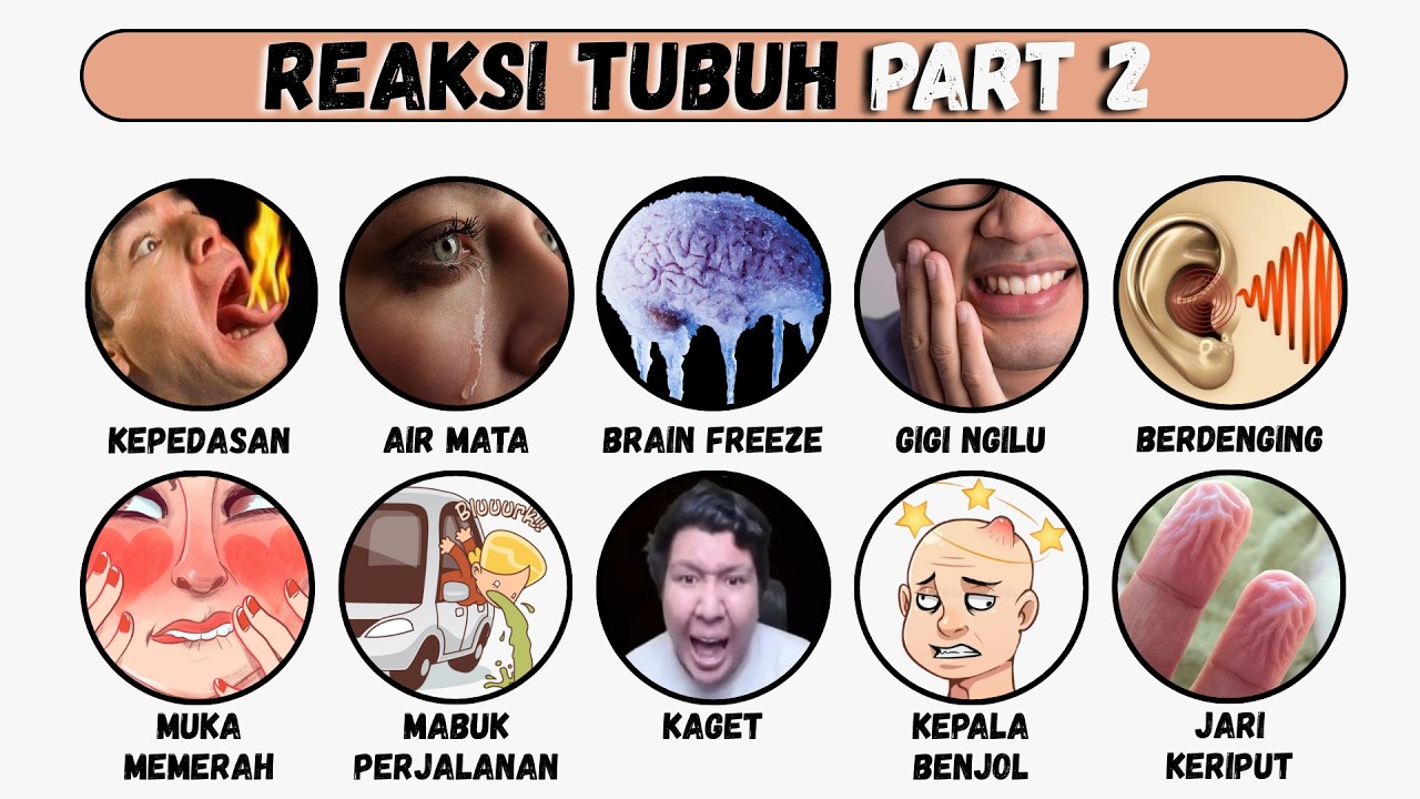 Reaksi Tubuh Dijelaskan [Part 2]