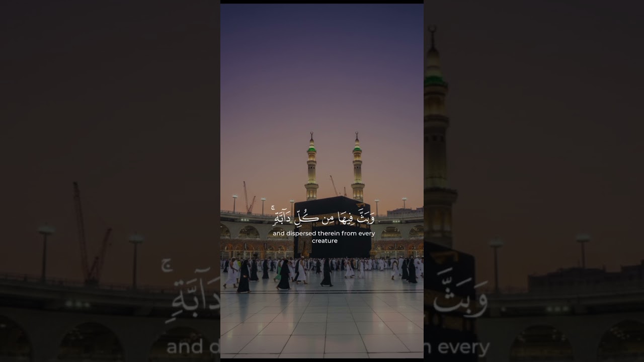 listen to the beautiful recitation of the holy Quran 🥹🌸#quran #quranrecitation #edits #shorts #viral
