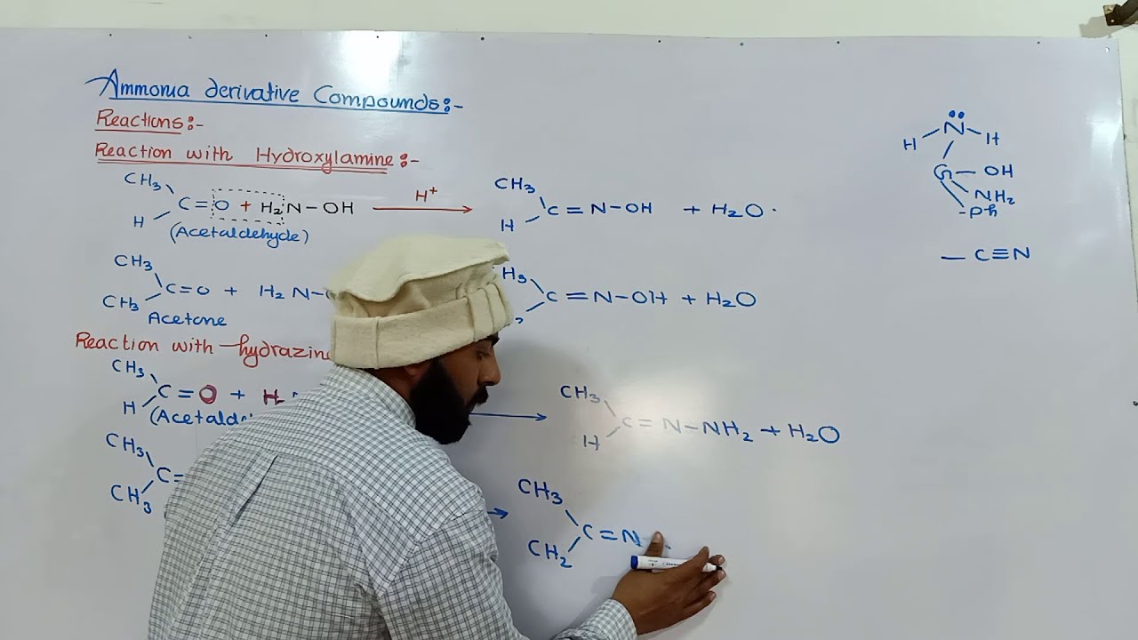 Ammonia derivative reactions ( hydroxylamine & hydrazine) with carbonyl compound | 12th class |ch#12