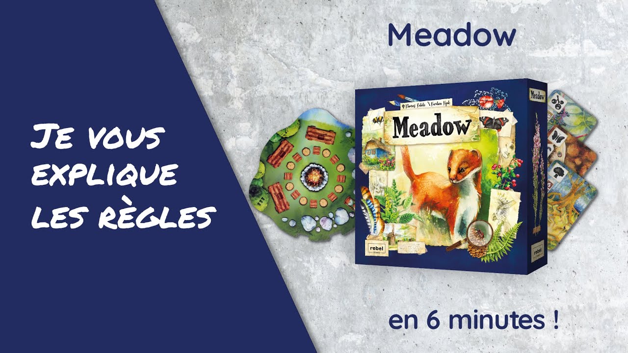 Je vous explique les règles du jeu MEADOW en moins de 6 minutes!