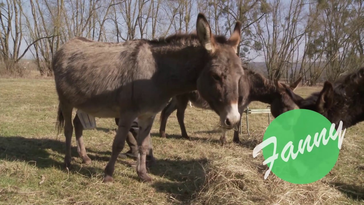 La Savonnière du Moulin