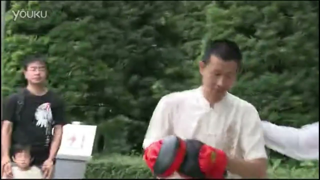 Xia Quan/HopGar 俠家拳 park clips from the days of old