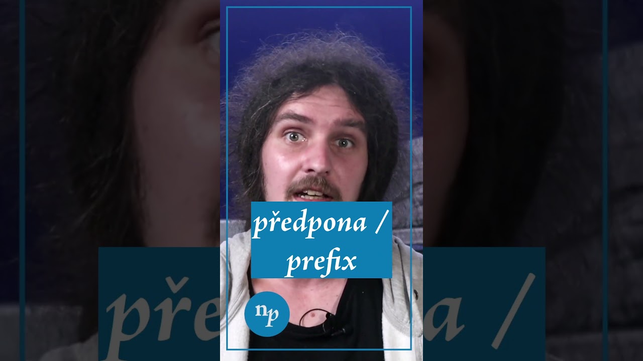29_z&aacute;klady_morfologie