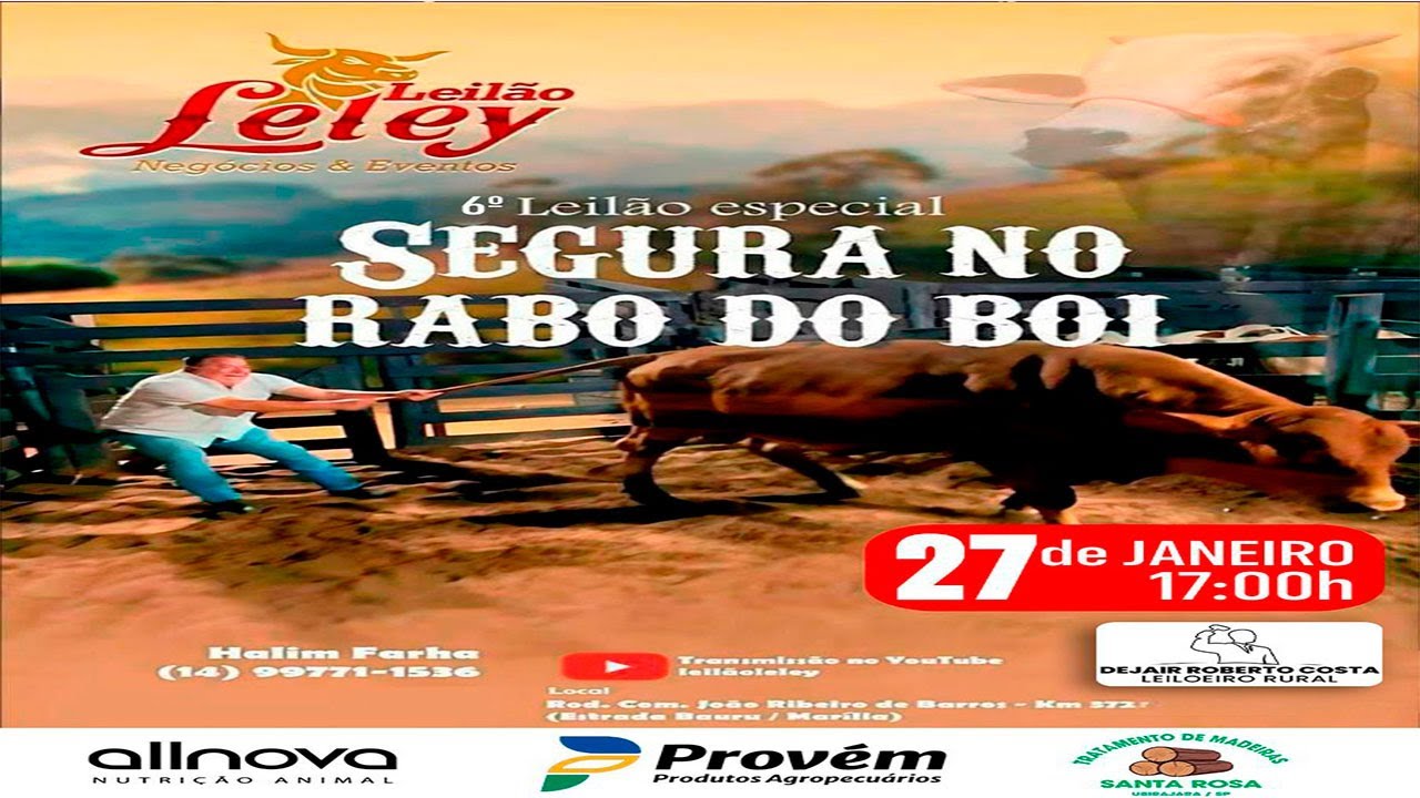 Leilão Leley - AO VIVO - 27/01/2022 6 Segura no Rabo do Boi #leilaodegado #leilaoaovivo #gado
