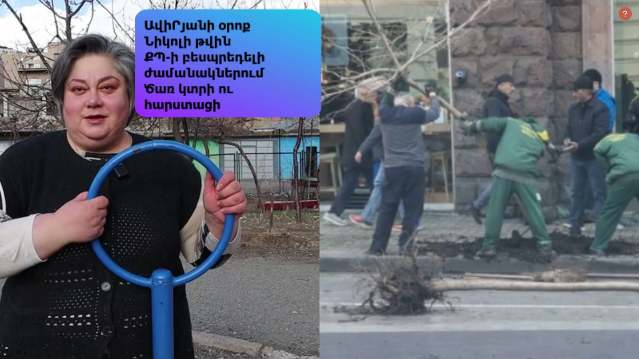 Գանդուռաս են սարքել Երևանը / Власти Еревана наживаются на вырубке деревьев, а люди страдают