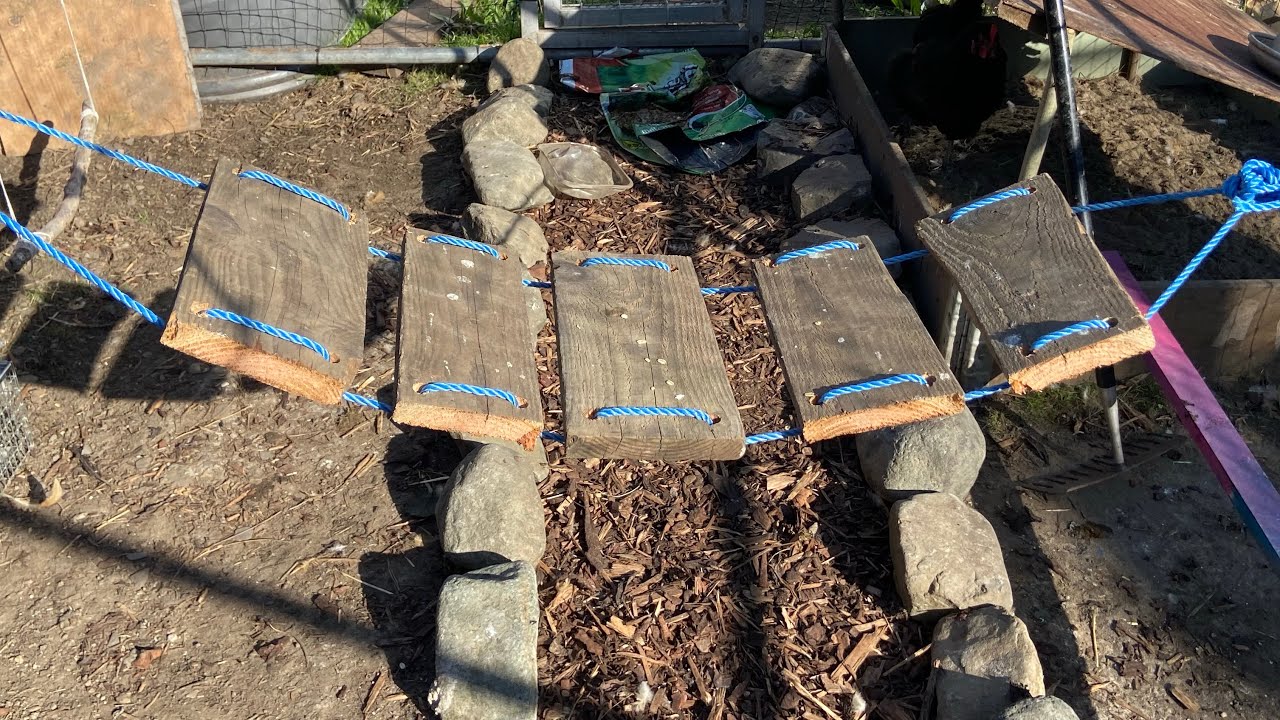 EASY and FUN projects to entertain your chickens and decorate their run!