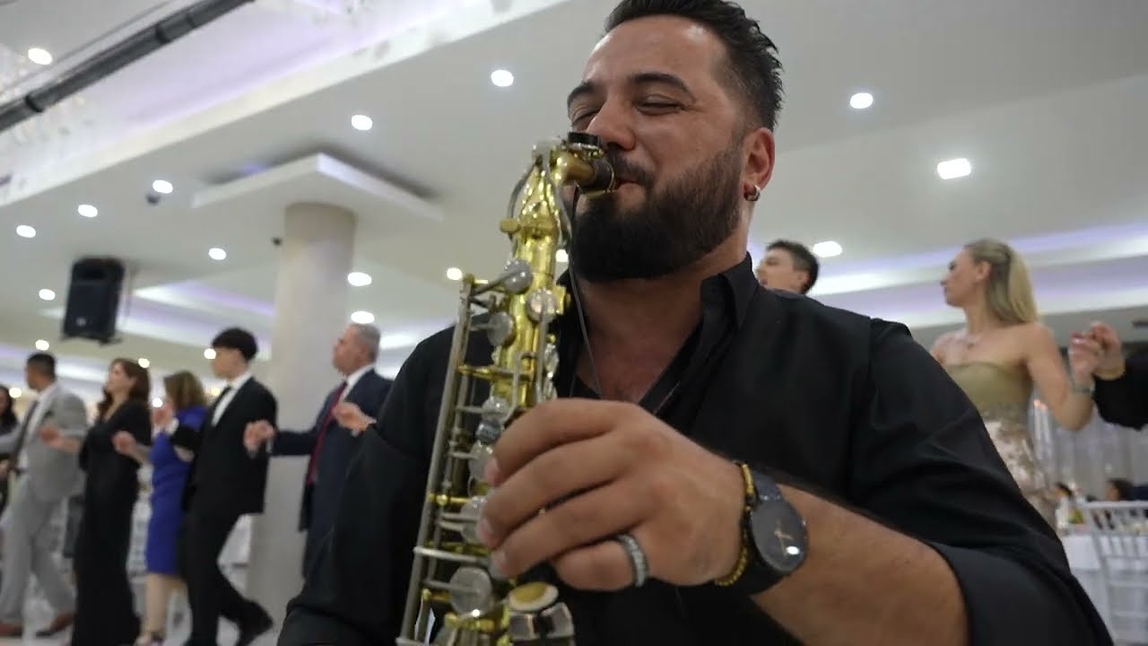 Vis Shkodrani ne dasem alegro