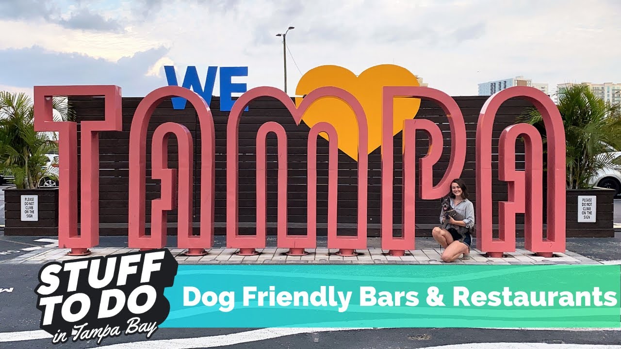 Top 3 Dog Friendly Restaurants and Bars in Tampa Bay