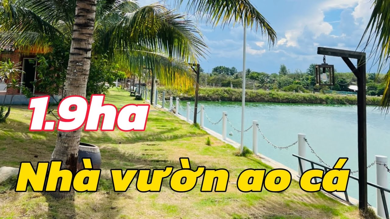 Nhà Vườn Ao Cá Tuyệt Đẹp 1.9ha Ở Láng Dài, Bà Rịa Vũng Tàu Mười Hai Ti