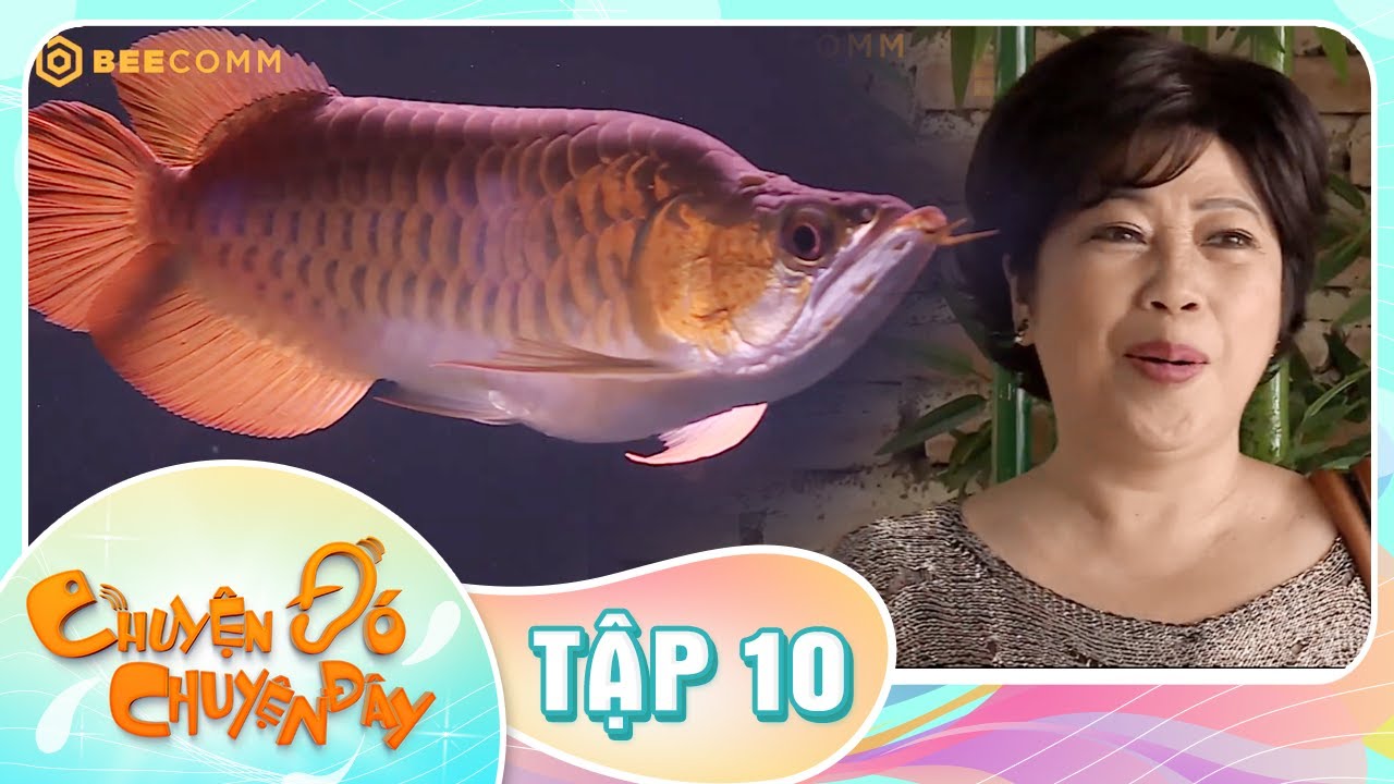 CHUYỆN Đ&Oacute; CHUYỆN Đ&Acirc;Y TẬP 10 FULL | Phi Phụng hết hồn khi thấy C&Aacute; RỒNG ĐỘC LẠ