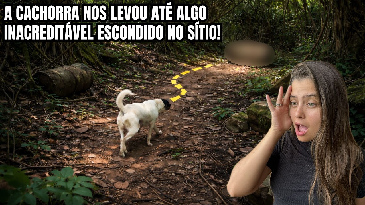 Seguimos a cachorra por 1 KM e encontramos algo incrível no sítio isolado