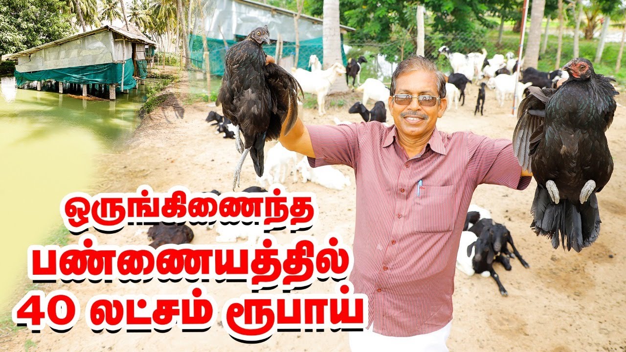 'ஒருங்கிணைந்த பண்ணை இப்படி இருக்கணும்' - சாதித்த கல்லூரி முதல்வர்!