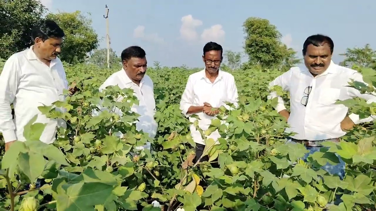 सुखी जीवनाचा व समाधानी शेतीचा विश्वासु महामार्ग म्हणजे SRT शेती..!