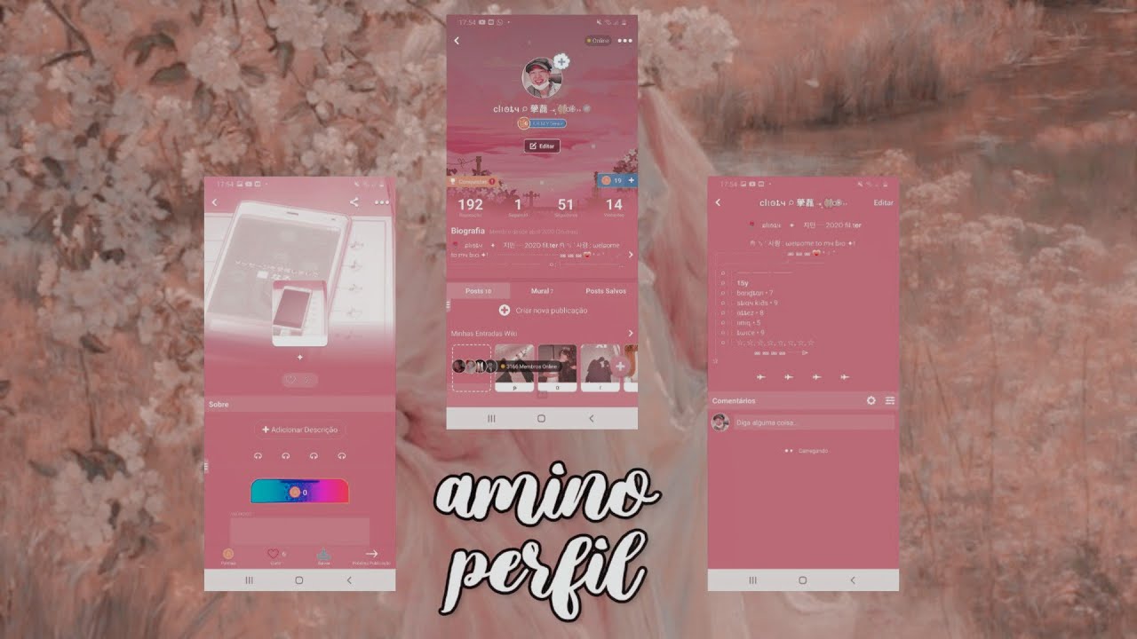 Ꜥ𓈒✾〫࣪ ㅡ perfil amino completo ♡