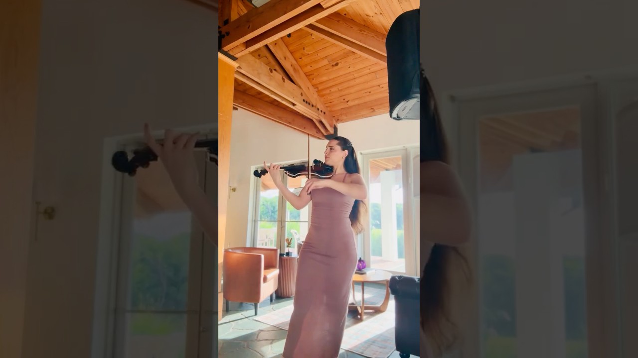 Violinist #violin #miamiparty #violincover