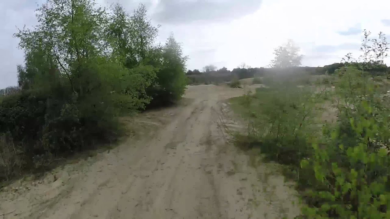 trying to fly through trees