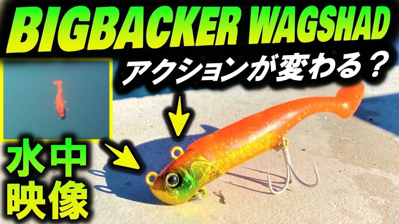 【ビッグバッカー ワグシャッド】水中映像。 シーバス 青物 フラットフィッシュ ロックフィッシュまでも！全部釣れるルアー！ジャッカル BIGBACKER WAGSHAD