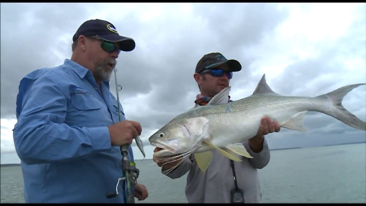 King Threadfin