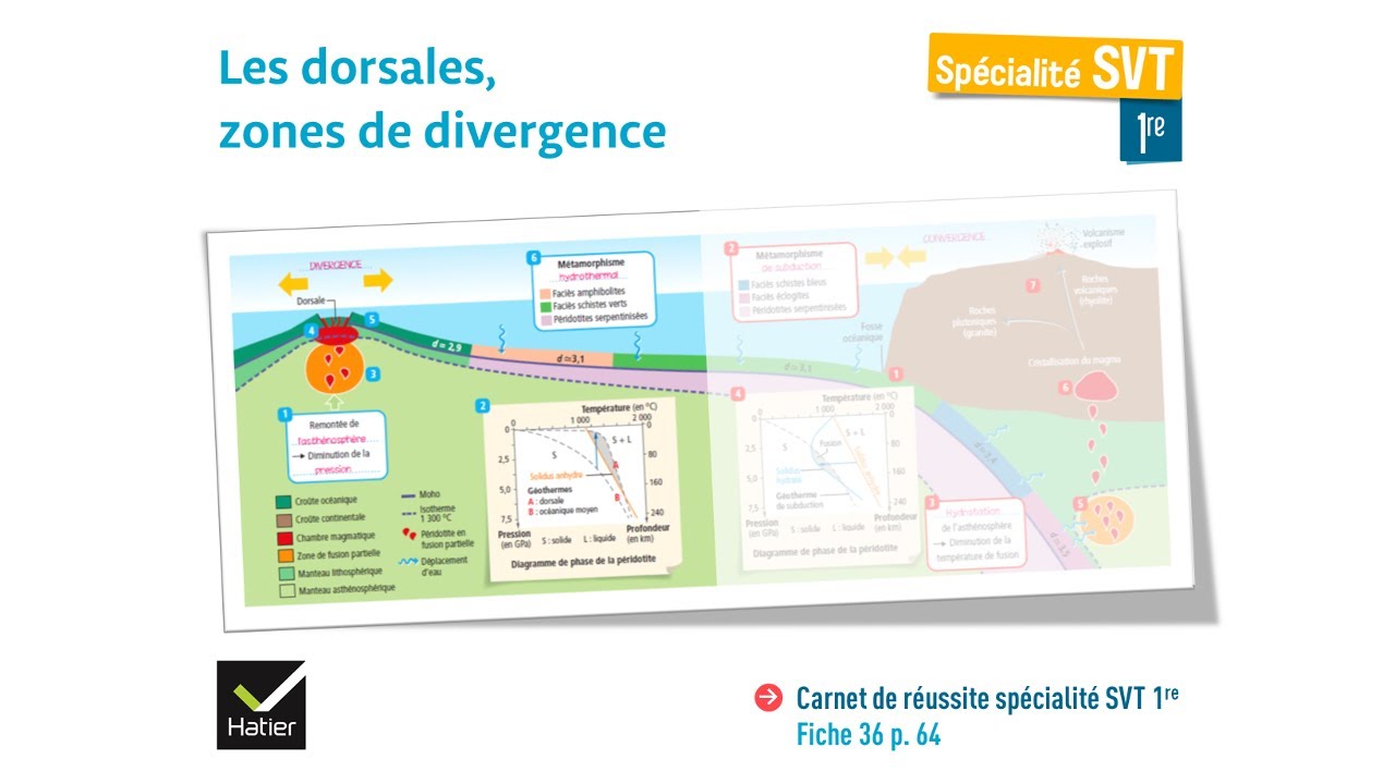 [eSVT] La dorsale et la production de magma basaltique