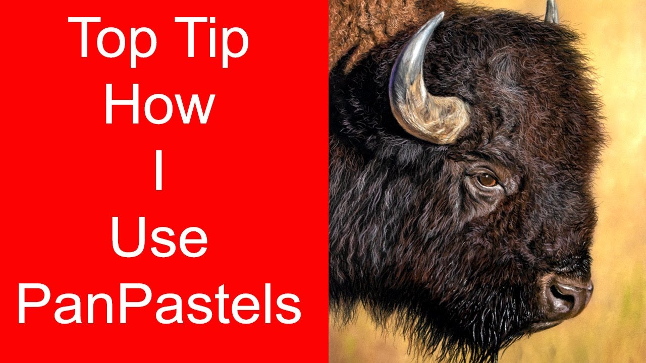 How I use PanPastels - Beginner + lesson. Jason Morgan art