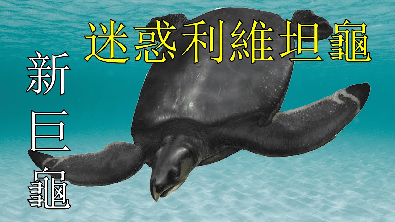 恐龙时代再添新巨龟，堪比古巨龟的巨头- 迷惑利维坦龟