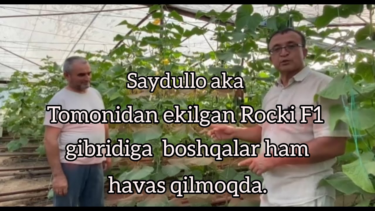 (5-қисм) Сайдулло ака томонидан экилган 