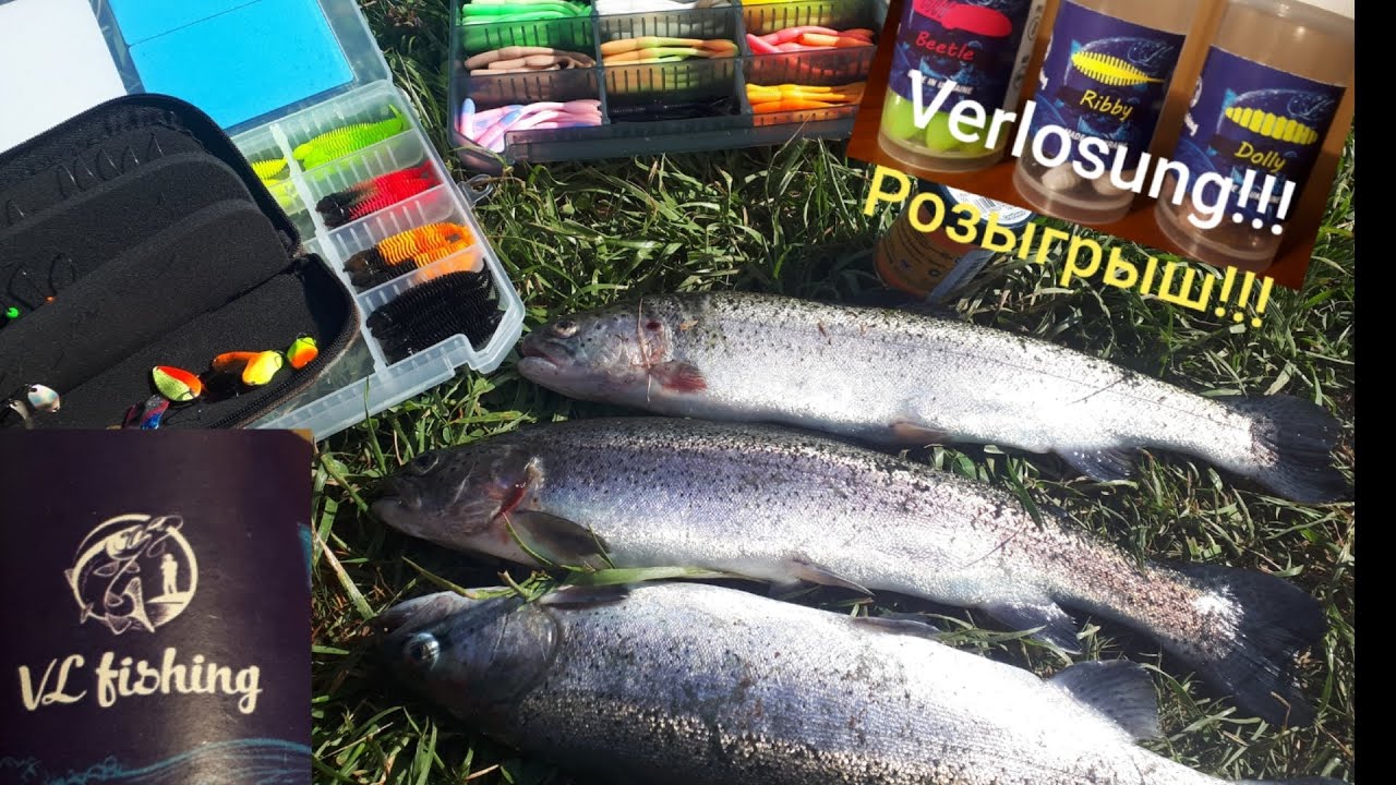 Ловля форели на силикон. Как поймать форель. Trout Area Forellenangeln. Angelpark Caster
