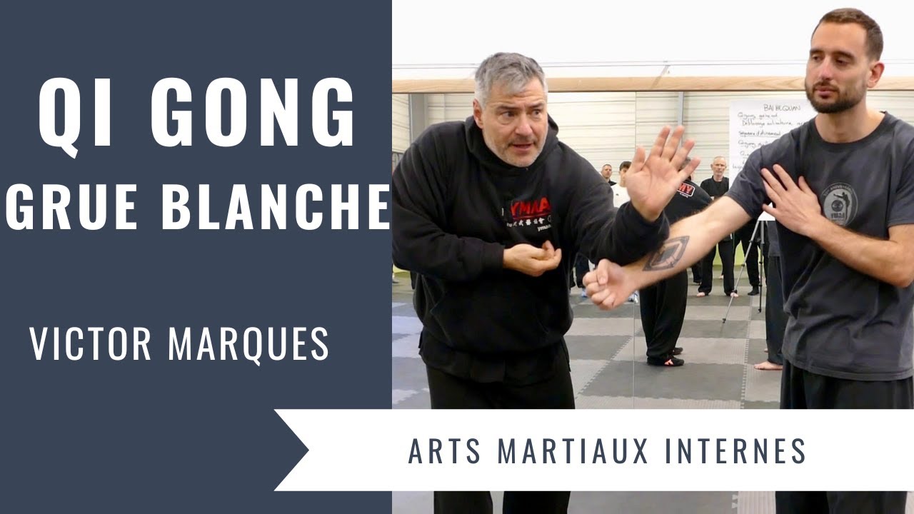 Qi Gong de la Grue Blanche – Santé et applications martiales | Tutoriel complet – Victor Marques