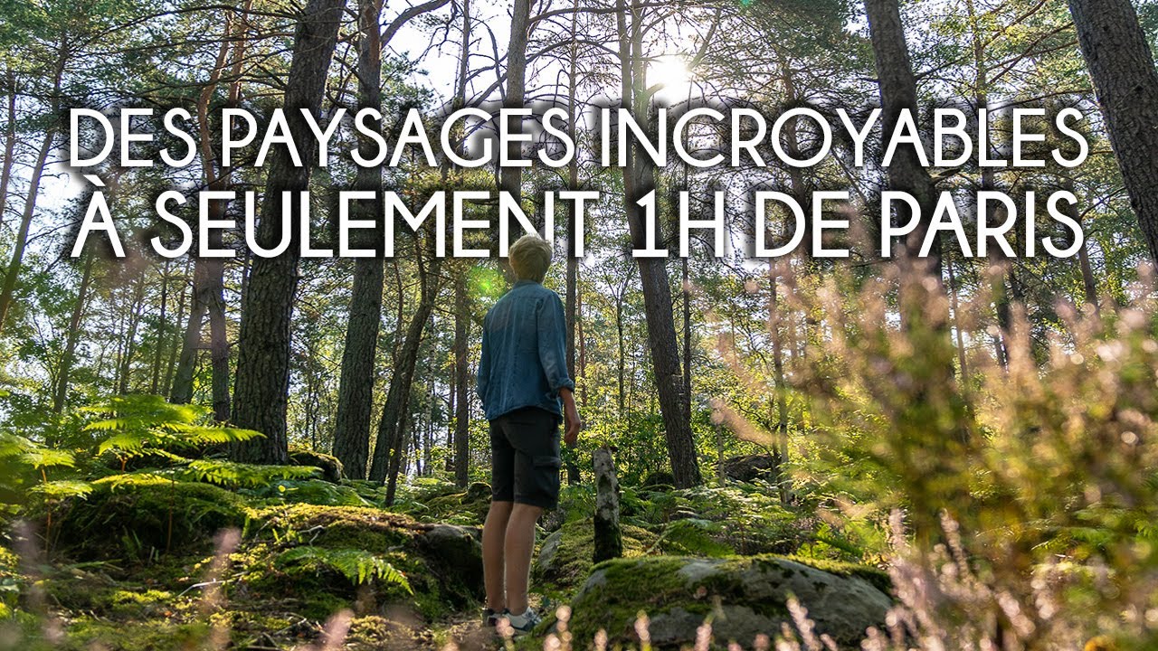 FONTAINEBLEAU, la plus belle forêt de France ?