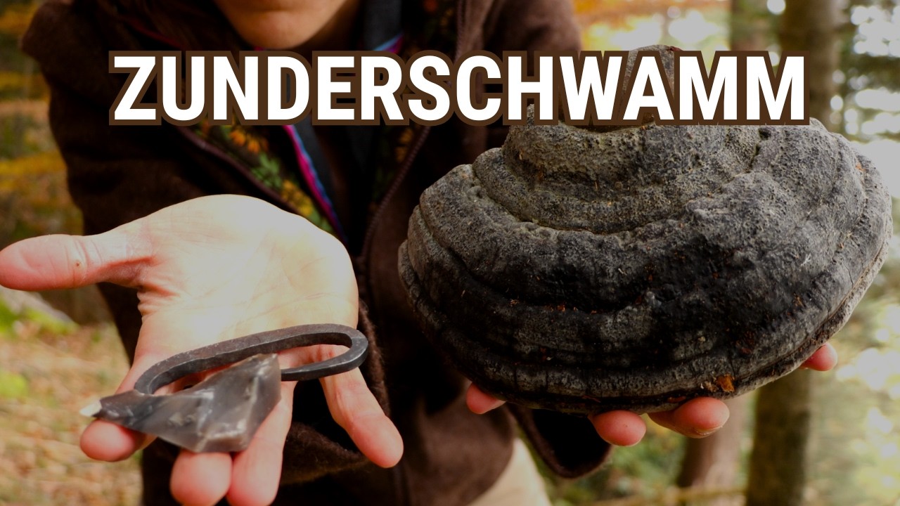 Auf der Suche nach dem Zunderschwamm - Feuermachen mit Schlageisen und Feuerstein