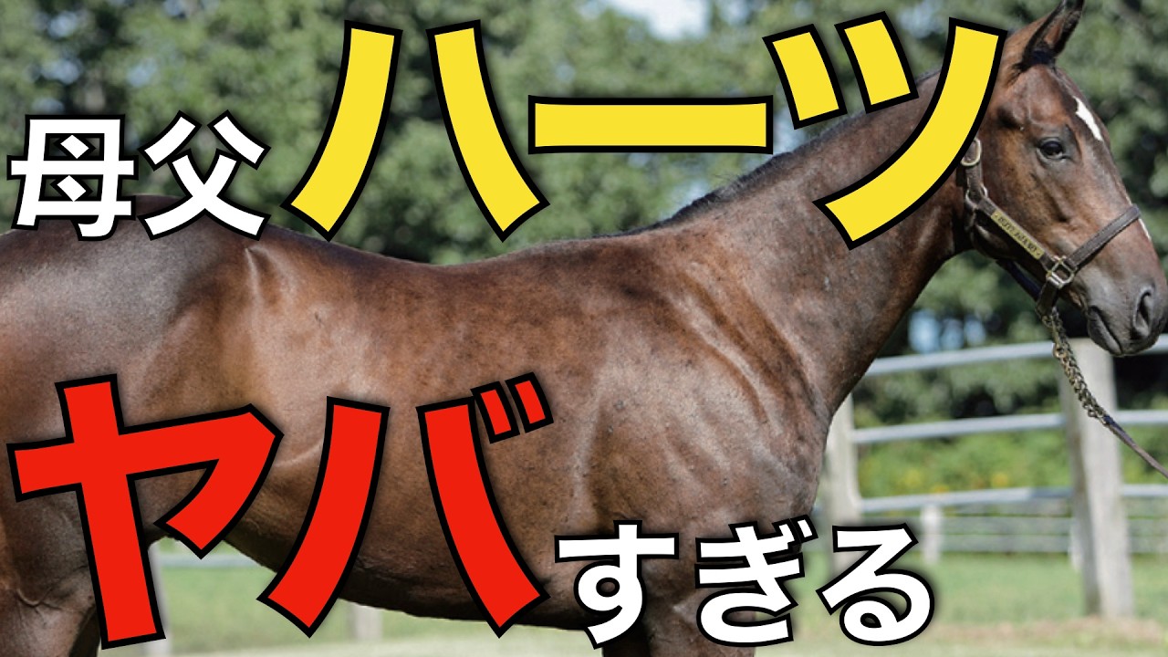 この勢いはやはりヤバすぎる！母父ハーツクライが重賞勝ちまくり。