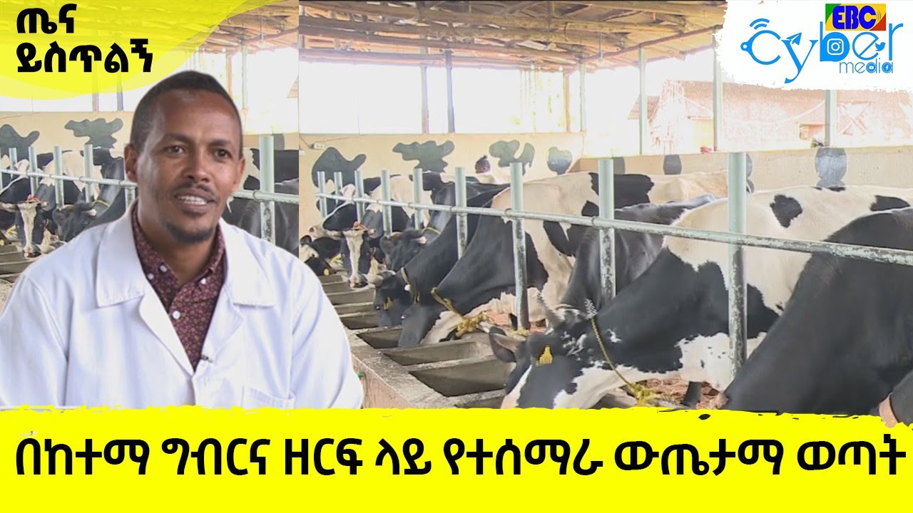 በከተማ ግብርና ዘርፍ ላይ የተሰማራ ውጤታማ ወጣት Etv | Ethiopia | News