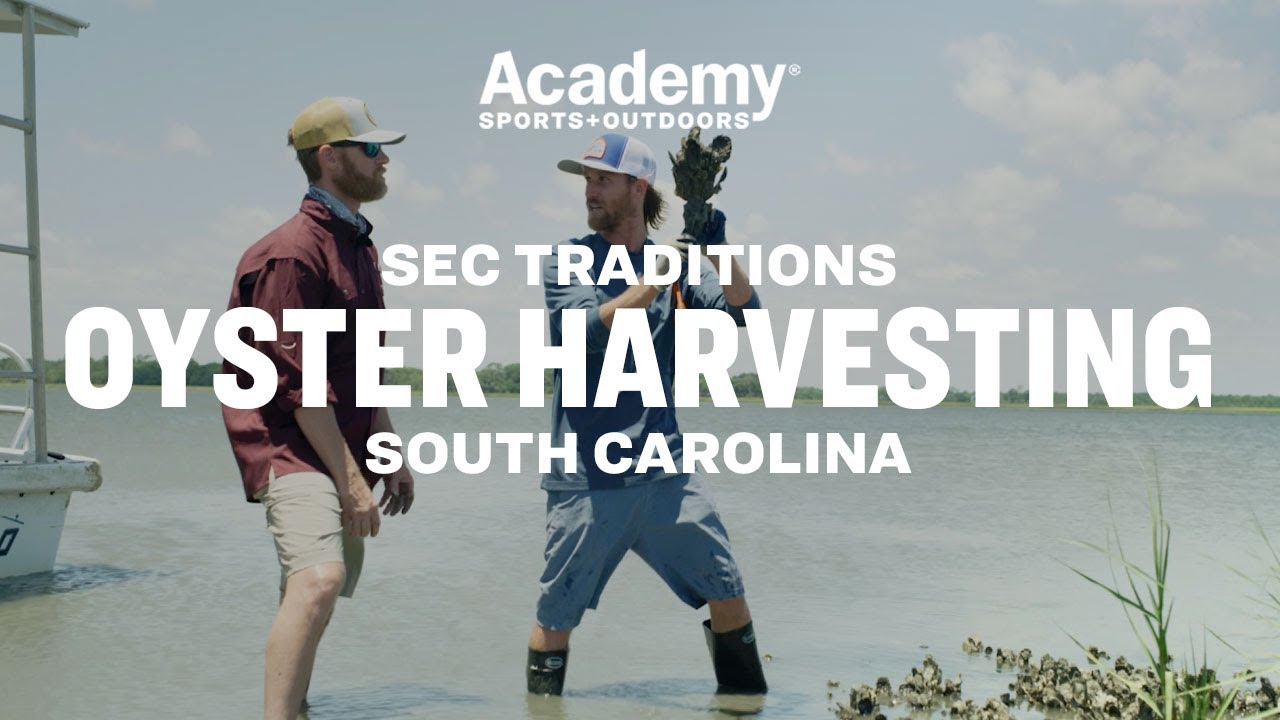 SEC Traditions | Oyster Harvesting in South Carolina with Marty Smith
