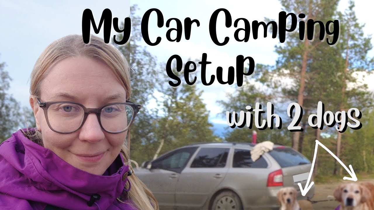No Build Car Camping Setup - Car Camping with 2 Dogs?!