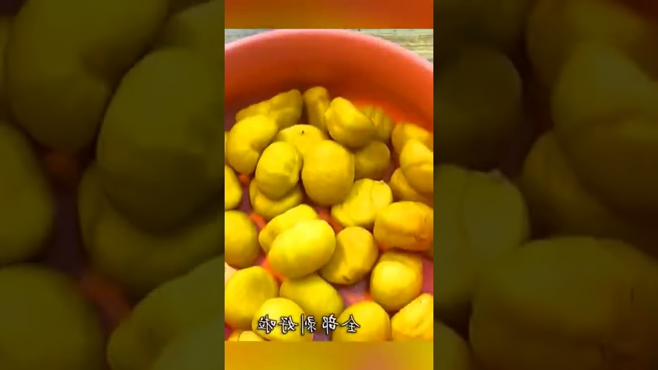 Hok Cooking Show # 566